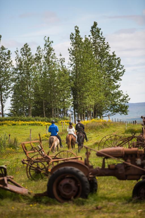 Farmhotel Efstidalur Laugarvatn Ngoại thất bức ảnh